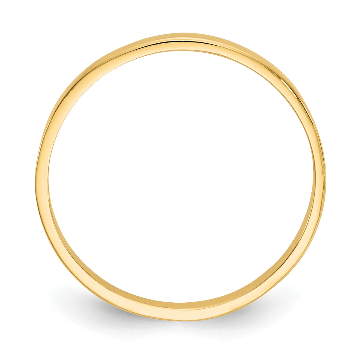 R535--2.jpg