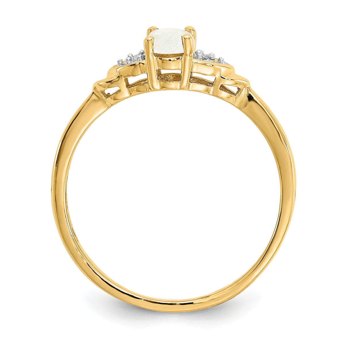 XBS283--2.jpg